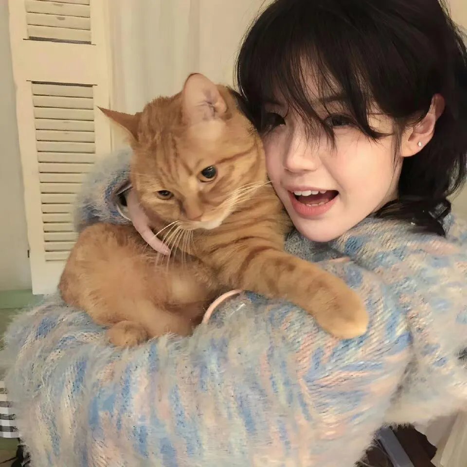 摊牌了我爸是世界首富